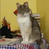 Отзыв от Фаина Полякова